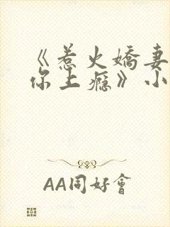 《惹火娇妻,宠你上瘾》小说
