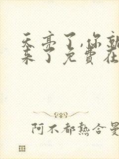 天亮了,你就回来了免费在线阅读封面