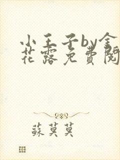 小王子by金银花露免费阅读笔趣阁