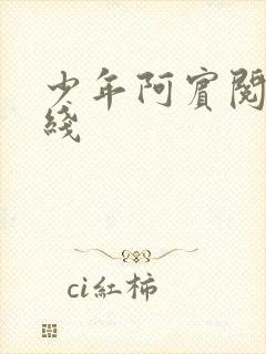 少年阿宾阅读在线
