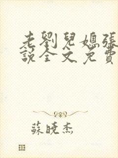 老刘儿媳张岚小说全文免费阅读封面