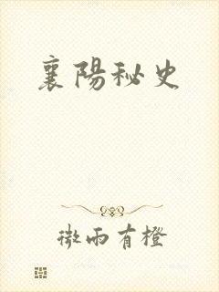 襄阳秘史封面