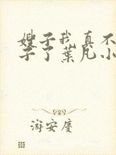 嫂子我真不是傻子了叶凡小说.txt