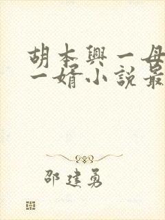 胡本兴一母四女一婿小说最新章节更