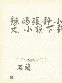 辣妈张静小说全文 小说下载