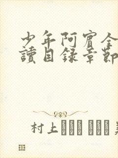 少年阿宾全文阅读目录章节