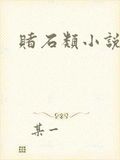 赌石类小说