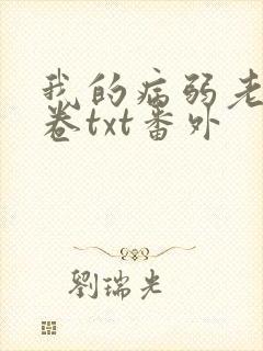 我的病弱老婆花卷txt番外封面