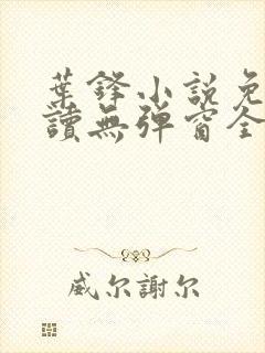 叶锋小说免费阅读无弹窗全文封面