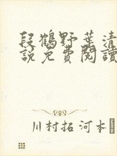 段鹤野叶清璃小说免费阅读最新章节封面
