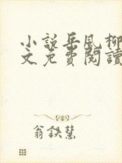 小说岳风柳萱全文免费阅读