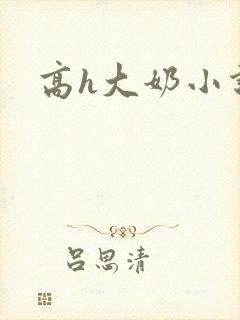 高h大奶小说