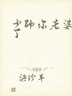 少帅你老婆又跑了