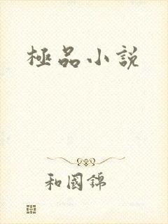 极品小说