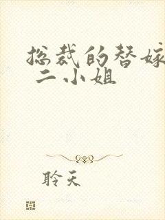总裁的替嫁新娘 二小姐