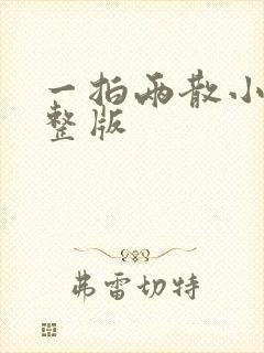 一拍两散小说完整版