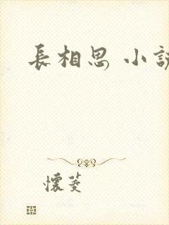 长相思 小说