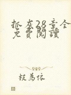 抓灰28章全部免费阅读