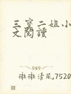 三宝二姐小说全文阅读