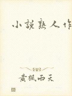 小说熟人作案