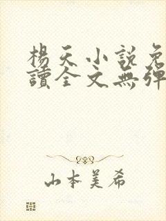 杨天小说免费阅读全文无弹窗