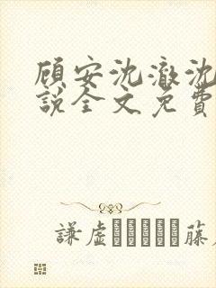 顾安沈澈沈清小说全文免费阅读