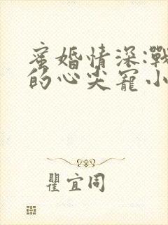 蜜婚情深:战少的心尖宠小说