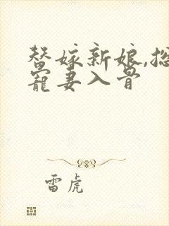 替嫁新娘,总裁宠妻入骨
