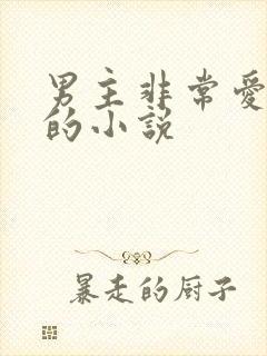 男主非常爱女主的小说