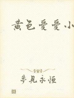 黄色爱爱小说