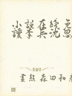 小说在线免费阅读李兵沈思封面
