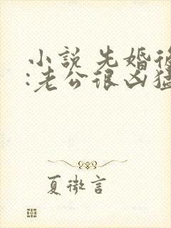 小说 先婚后爱:老公很凶猛