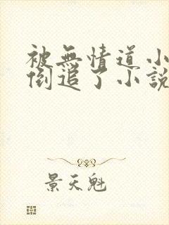 被无情道小师弟倒追了小说番外封面