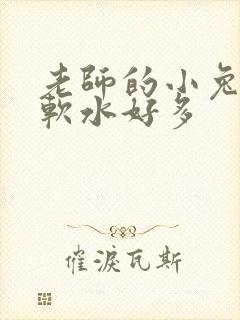 老师的小兔子好软水好多封面