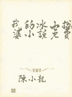我的冰山总裁老婆小说免费阅读封面