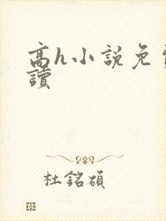 高h小说免费阅读封面