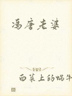 冯唐老婆封面