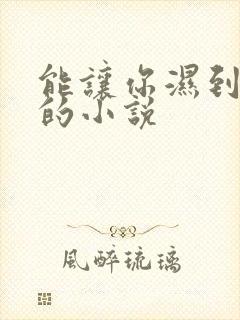 能让你湿到不行的小说