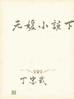 元媛小说下载