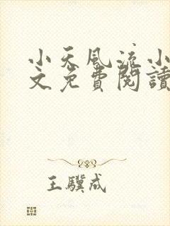 小天风流小说全文免费阅读无弹窗封面