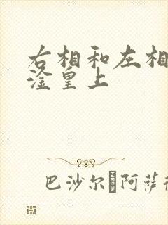 右相和左相一起淦皇上