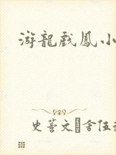 游龙戏凤小说