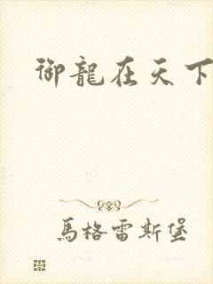 御龙在天下载