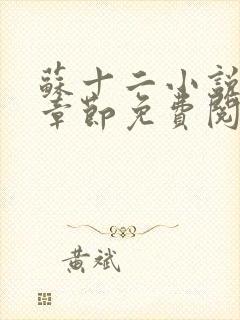 苏十二小说最新章节免费阅读全文封面