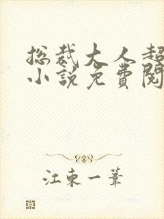 总裁大人超给力小说免费阅读全文