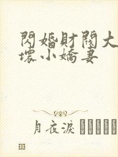 闪婚财阀大叔宠坏小娇妻封面
