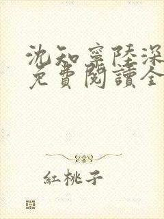 沈知宁陆深小说免费阅读全文无弹窗