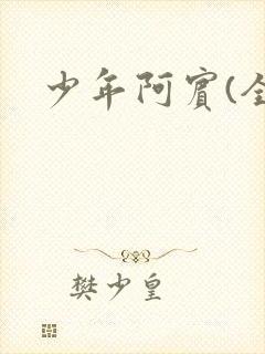少年阿宾(全)