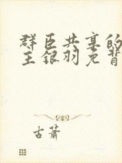 群臣共享的小公主银羽免背刺