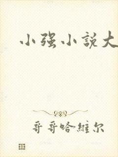 小强小说大全